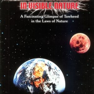 Seeing the Invisible God in Visible Nature