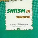 Shiism in Sunnism