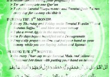 Month by month advise on Pregnancy (Booklet)